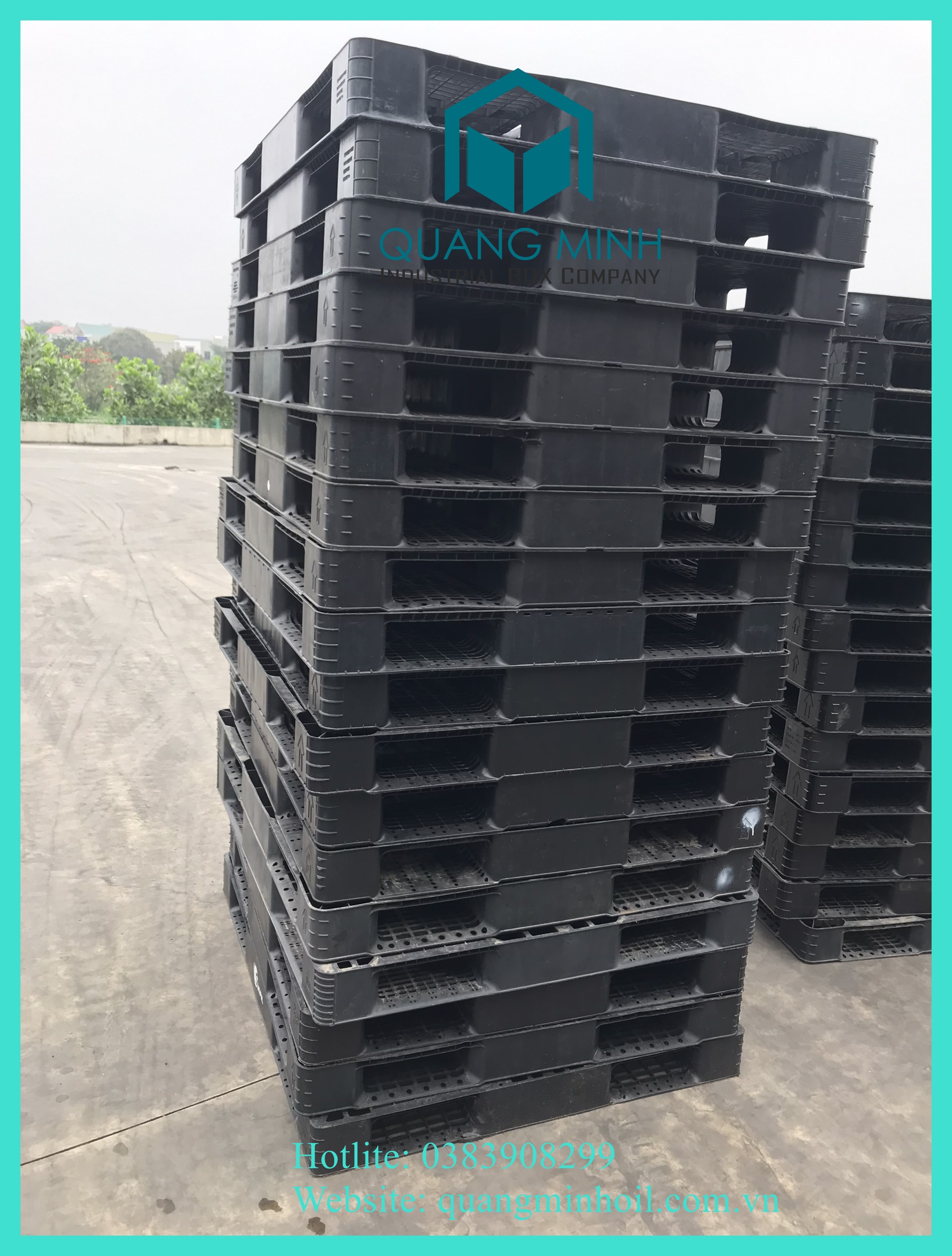 Pallet nhựa kích thước 1300x1100x120mm